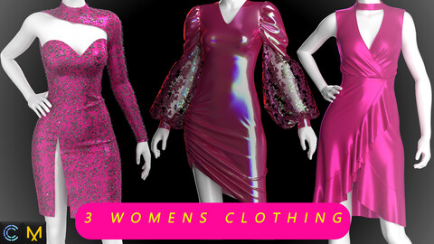 3Womens Clothing (OBJ+mtl+FBX+ZPRJ) #226