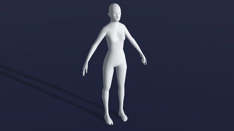 Female Body Base Mesh 28 Animations 3D Model 1k Polygons
