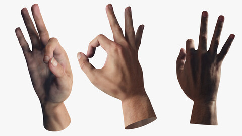 Ok Hand Motion Gesture ok Low-poly 3D model