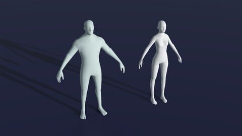 Male and Female Body Base Mesh 28 Animations 3D Model 1k Polygons