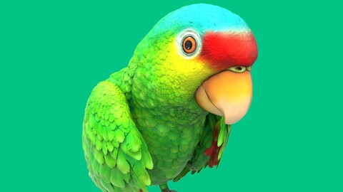 Red-lored parrot