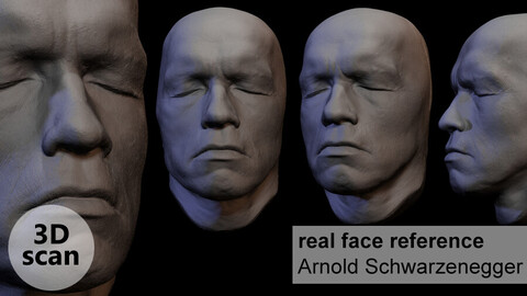 3d scan of Arnold Schwarzenegger's face