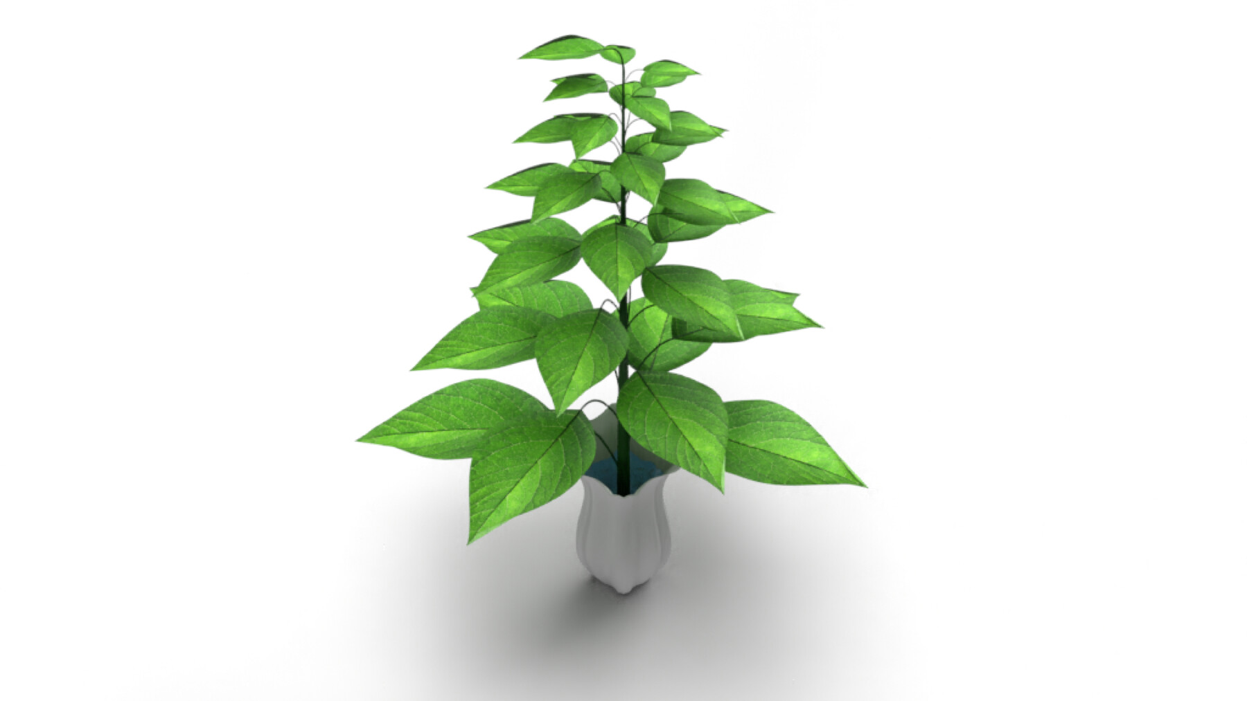 ArtStation Plant with vase Resources