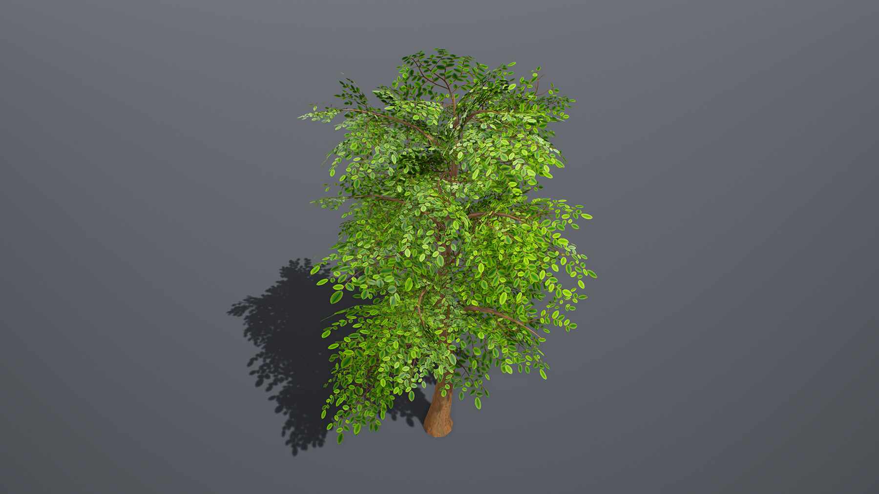 ArtStation - Stylized Tree | Game Assets