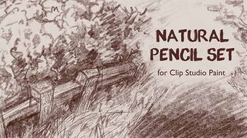 Natural Pencil Set for Clip Studio Paint - 42 Brushes