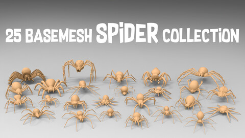 25 Basemesh spider collection