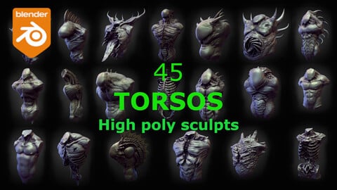45 TORSOS high poly sculpts