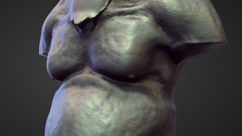 TORSO3 high poly sculpt