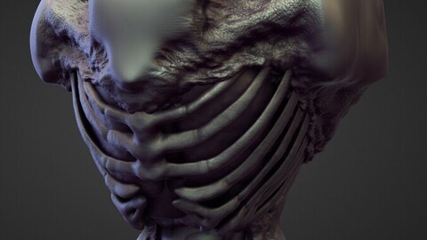 TORSO8 high poly sculpt