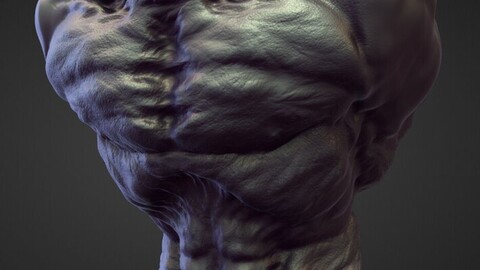 TORSO9 high poly sculpt