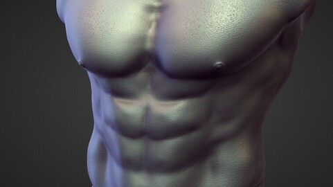 TORSO16 high poly sculpt