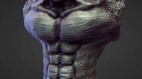 TORSO23 high poly sculpt