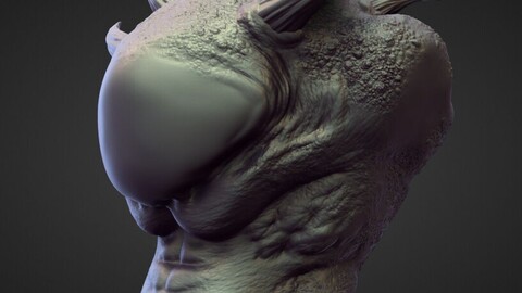 TORSO25 high poly sculpt