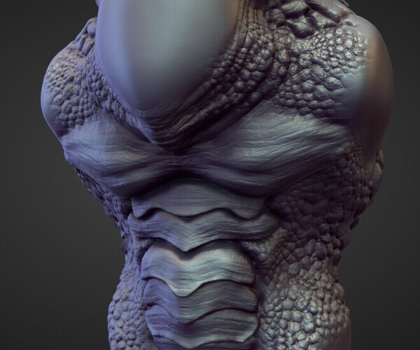 ArtStation TORSO42 high poly sculpt Resources