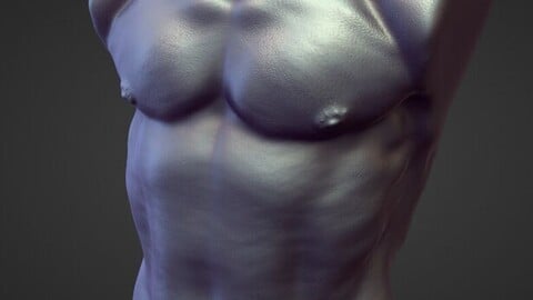 TORSO45 high poly sculpt