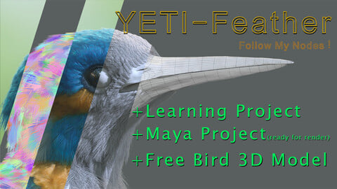 Kingfisher_Yeti (Grooming _ Feather) project !