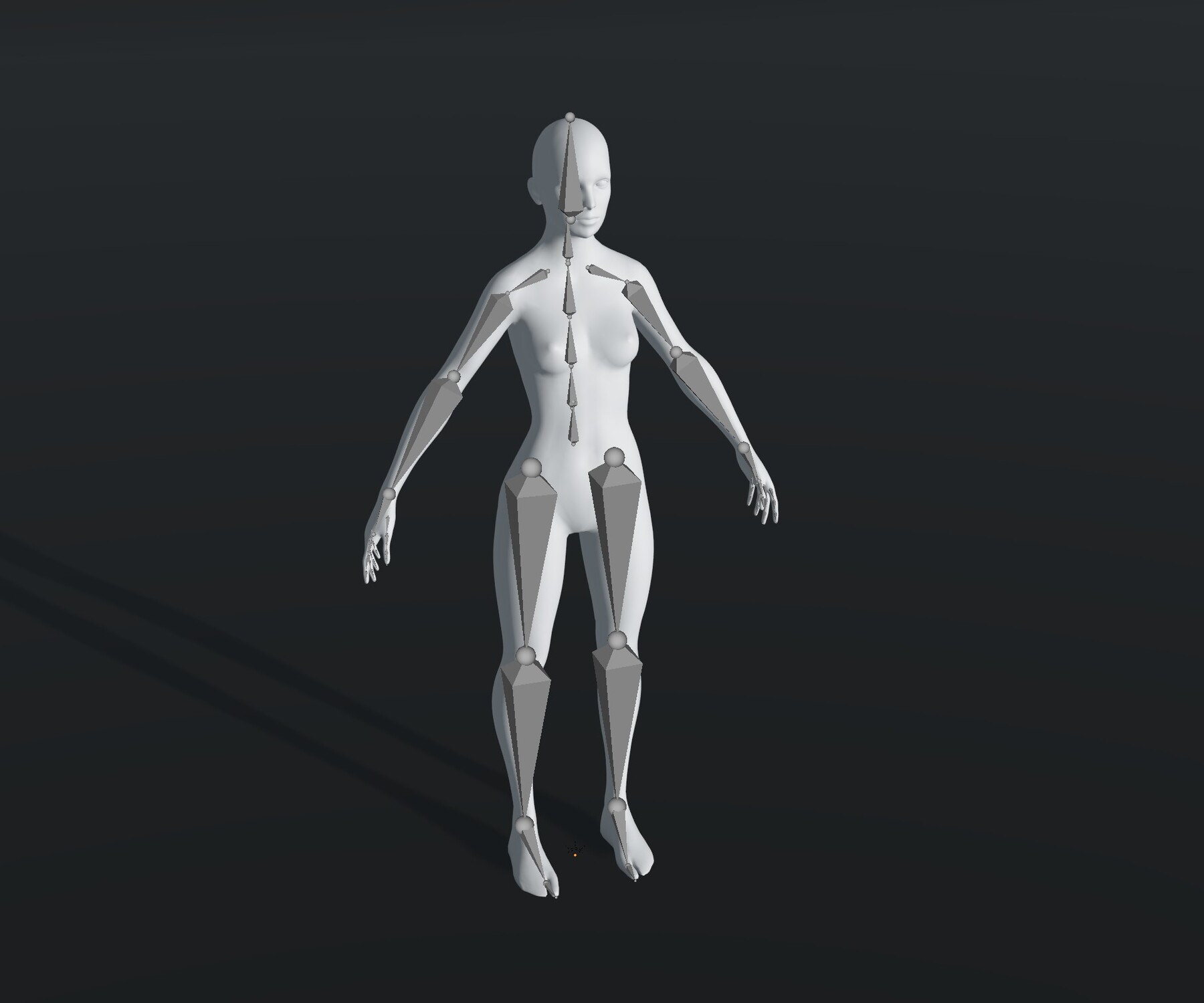 Male and Female Body Base Mesh 3D Model 20k Polygons - Blender Market