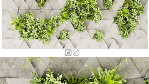 Collection plant vol 396 - fitowall - ertical - leaf - fern - bush - blender - 3dmax - cinema 4d