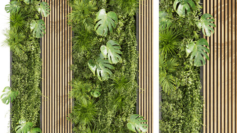 Collection plant vol 400 - fitowall - ertical - leaf - palm - grass - fern - blender - 3dmax - cinema 4d