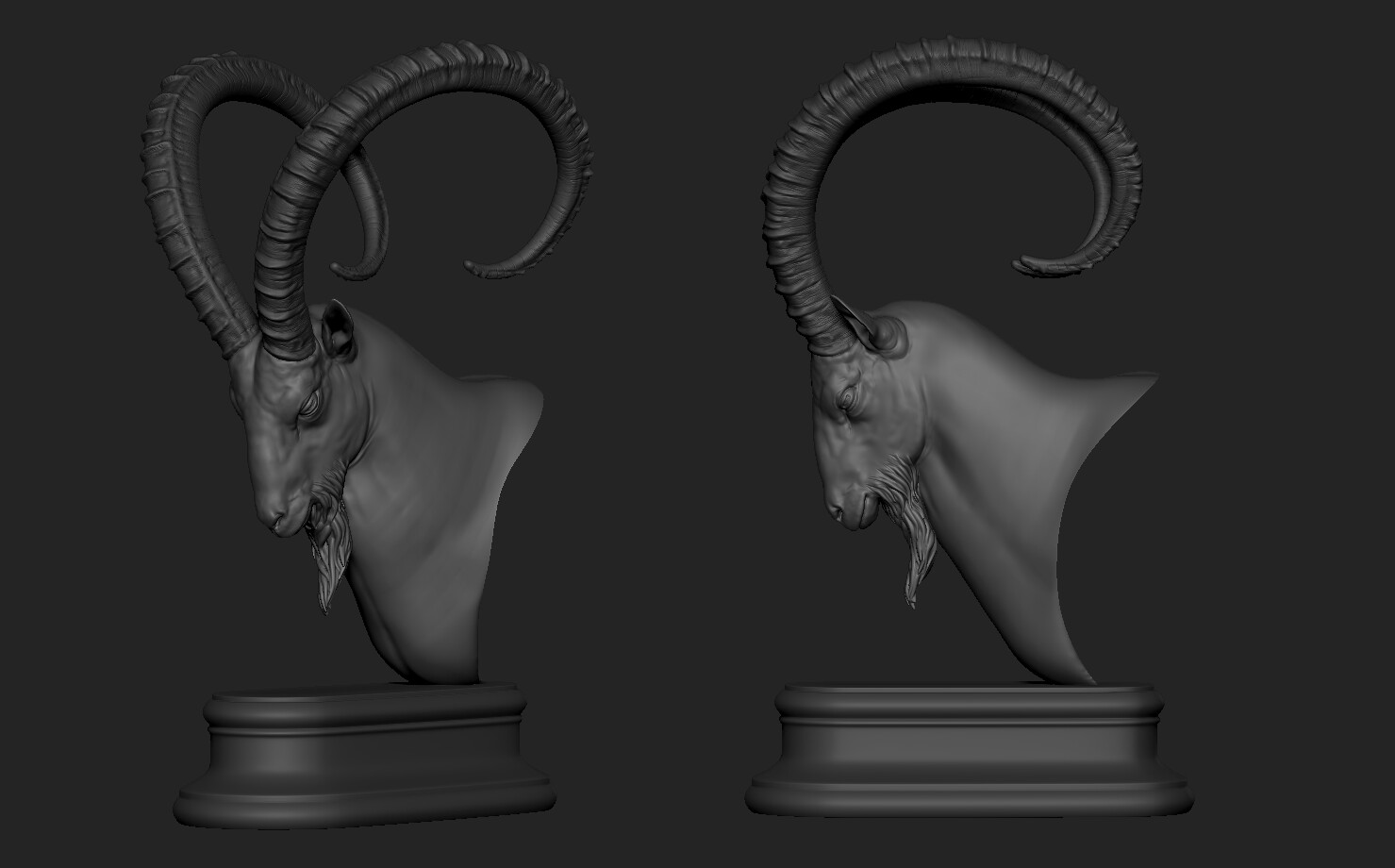 ArtStation - Ibex Head | Resources