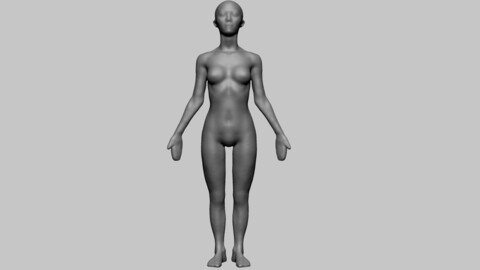 Base Female Anatomy B