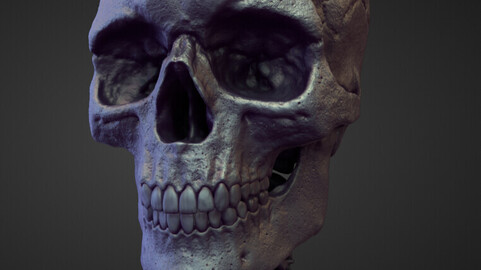 HEAD8 high poly sculpt