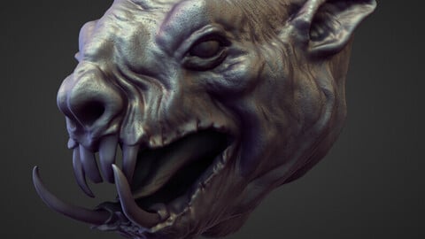 HEAD18 high poly sculpt