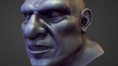 HEAD31 high poly sculpt