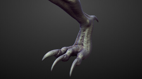 LEG3 high poly sculpt