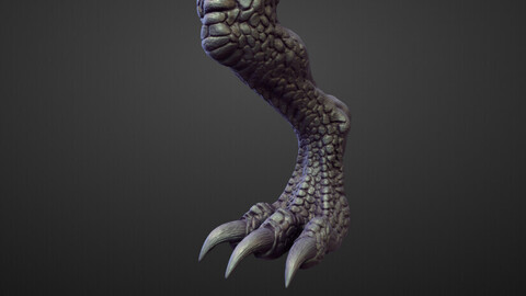 LEG6 high poly sculpt