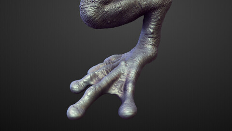 LEG12 high poly sculpt