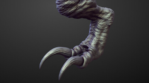 LEG18 high poly sculpt