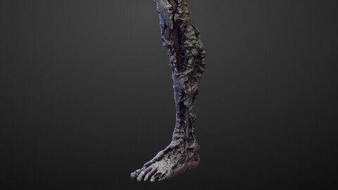 LEG24 high poly sculpt