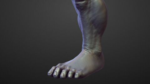 LEG26 high poly sculpt