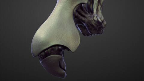 LEG34 high poly sculpt