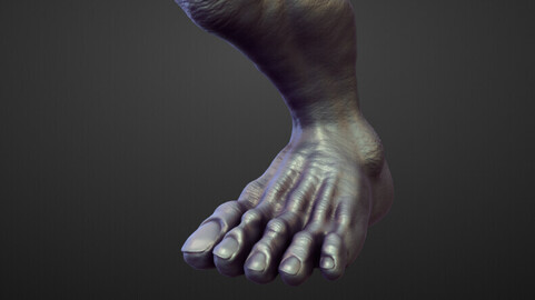 LEG39 high poly sculpt