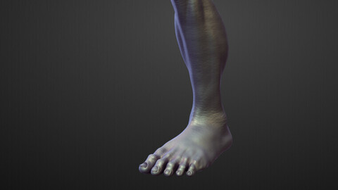 LEG44 high poly sculpt