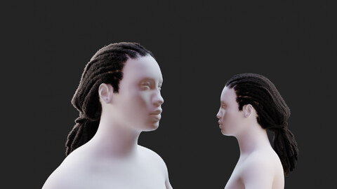 Dreadlocks Low Ponytail