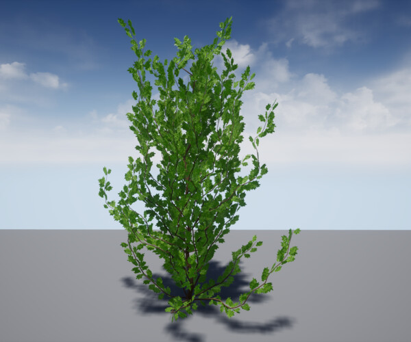 product thumbnail 12