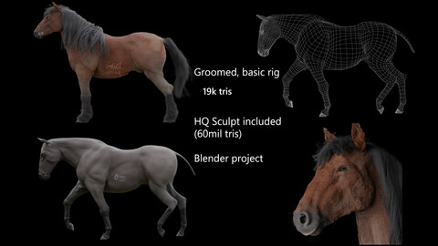 Draft horse, groomed + HQ Sculpt, Blender-only file