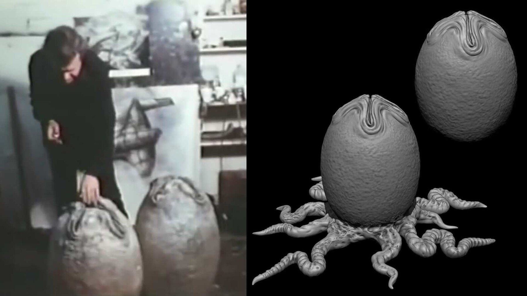 the alien egg experiment