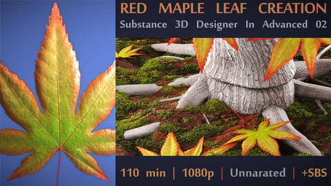 Red Maple Leaf Creation Tutorial | Substance Designer In Advanced 02