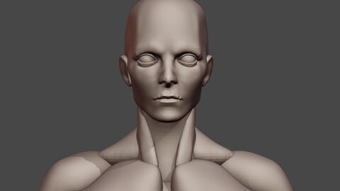 Male base mesh - for sculpting