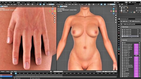 Female Character / Textured Female Mesh / Substance Painter Editable / Rigged / Shapes