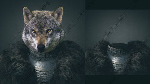 Warrior Dog Wears A Fur Coat - Pet Portrait Template - File PSD