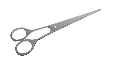 Surgical Scissors 3D Model