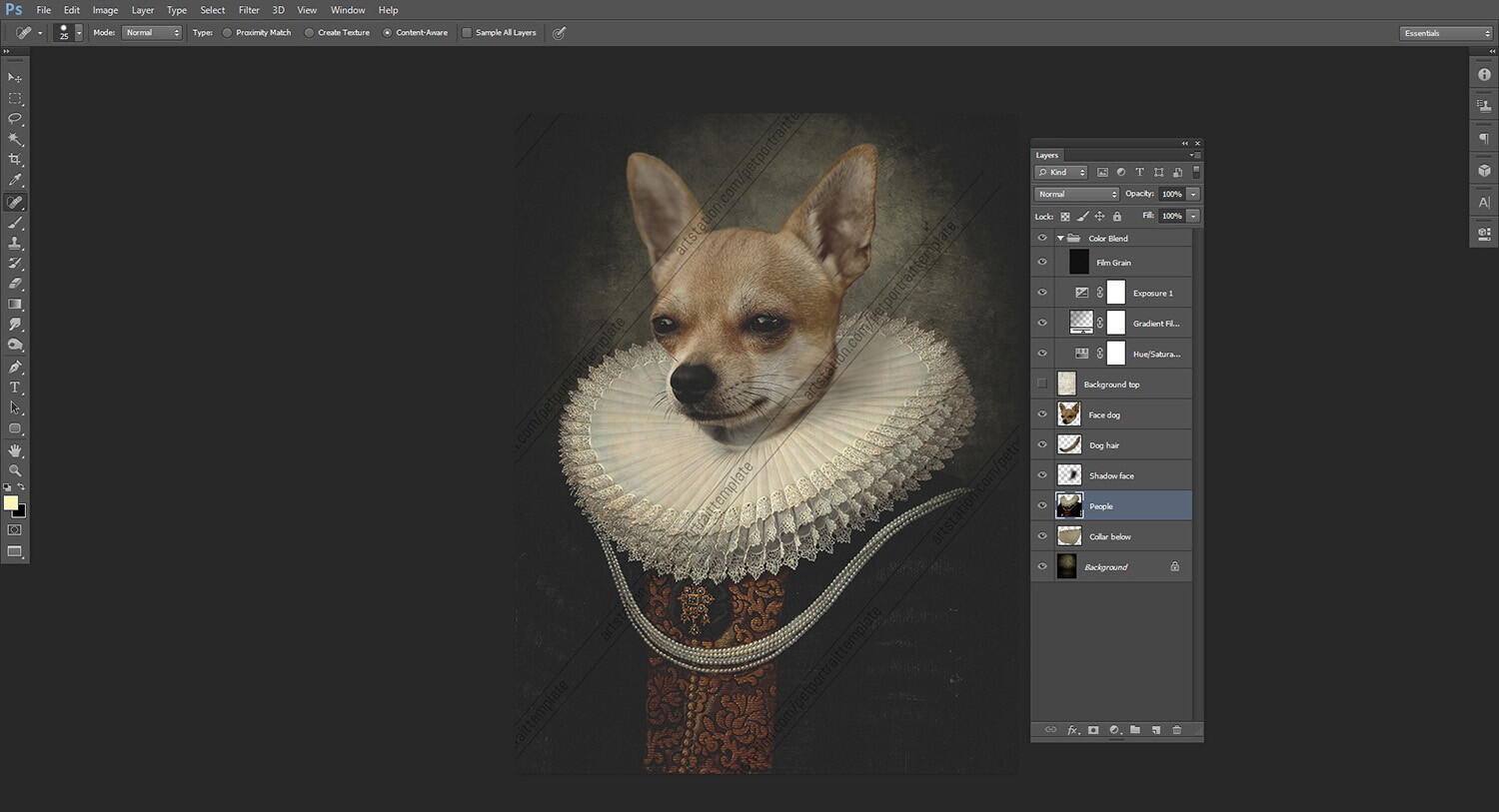ArtStation Queen Dog Renaissance Pet Portrait Template PSD File