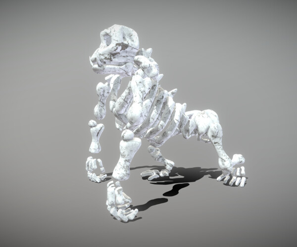 ArtStation - Garilla Skeleton | Game Assets