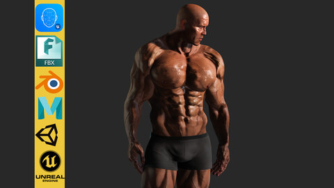 Realistic Male Bodybuilder 3D HQ Low-poly 3D model