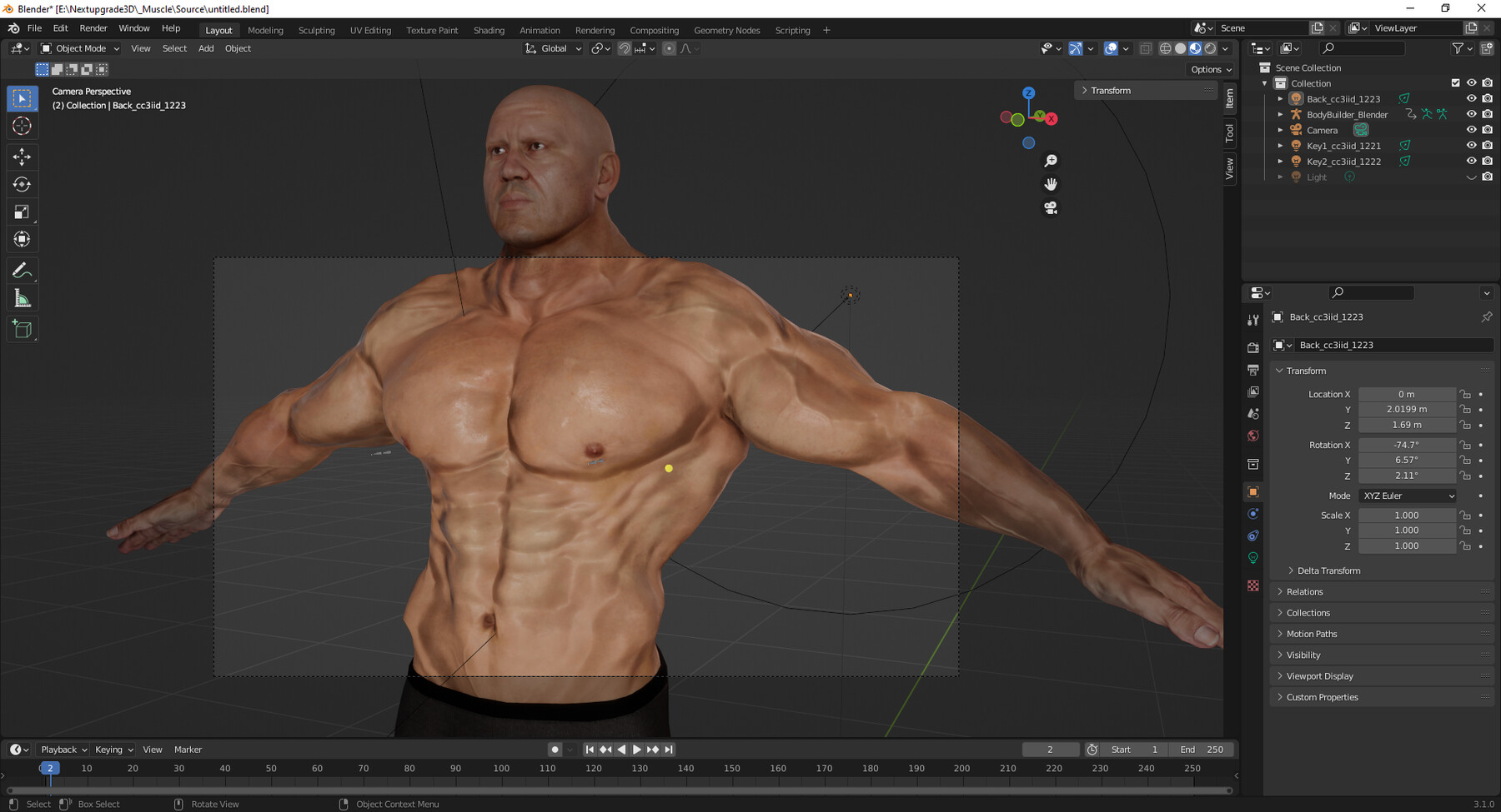 Nextupgrade3d Realistic Male Bodybuilder 3d Hq Low Poly 3d Model